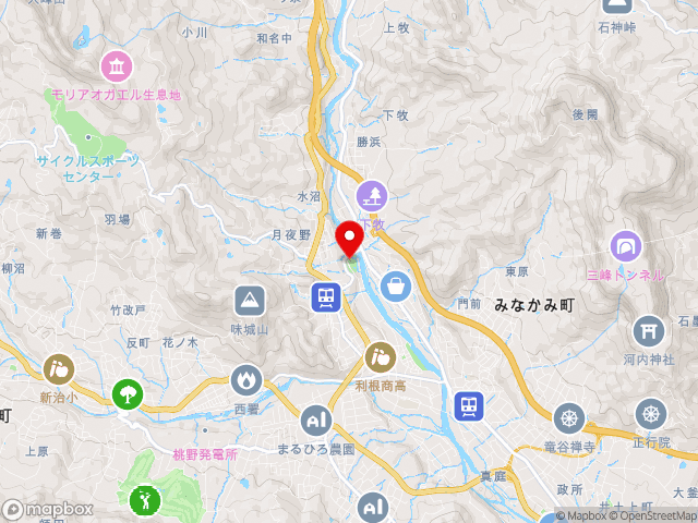 主要地方道沼田水上線沿いの道の駅 月夜野矢瀬親水公園の地図