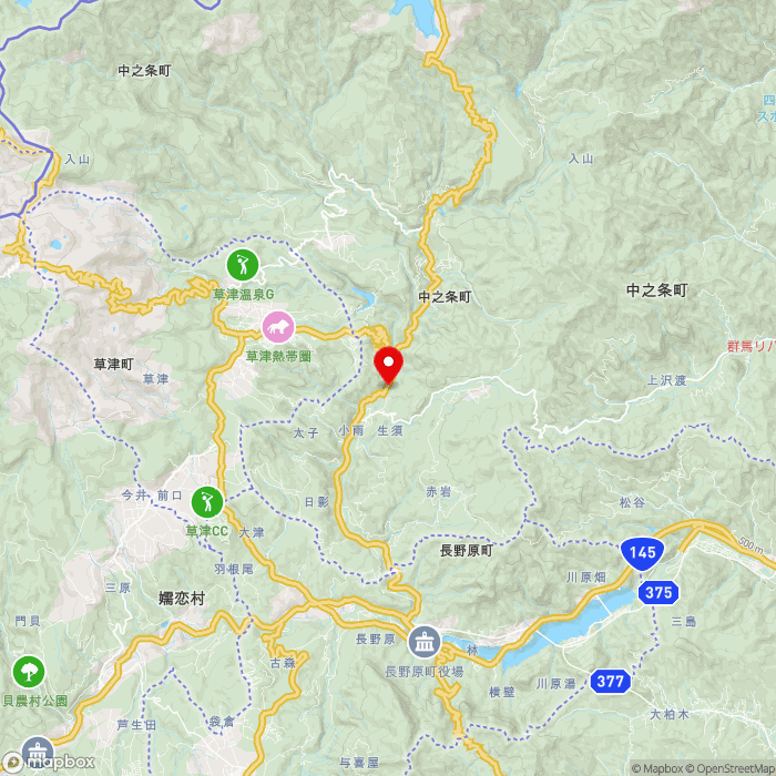 道の駅六合の地図（zoom11）群馬県吾妻郡中之条町小雨29