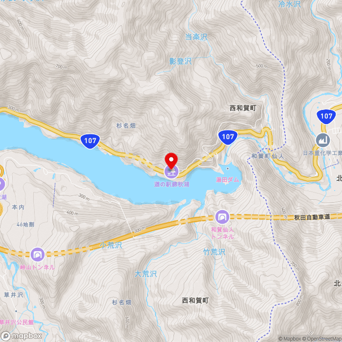 道の駅錦秋湖の地図（zoom13）岩手県和賀郡西和賀町杉名畑44地割264