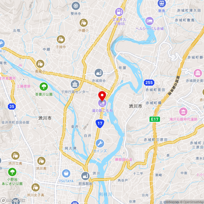 道の駅こもちの地図（zoom13）群馬県渋川市白井2318-1