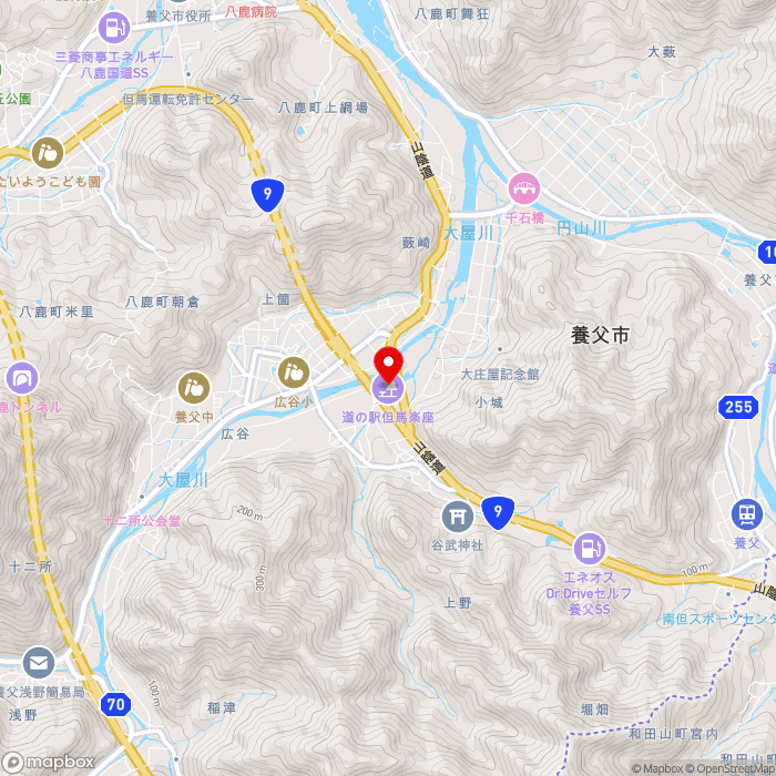道の駅但馬楽座の地図（zoom13）兵庫県養父市上野299