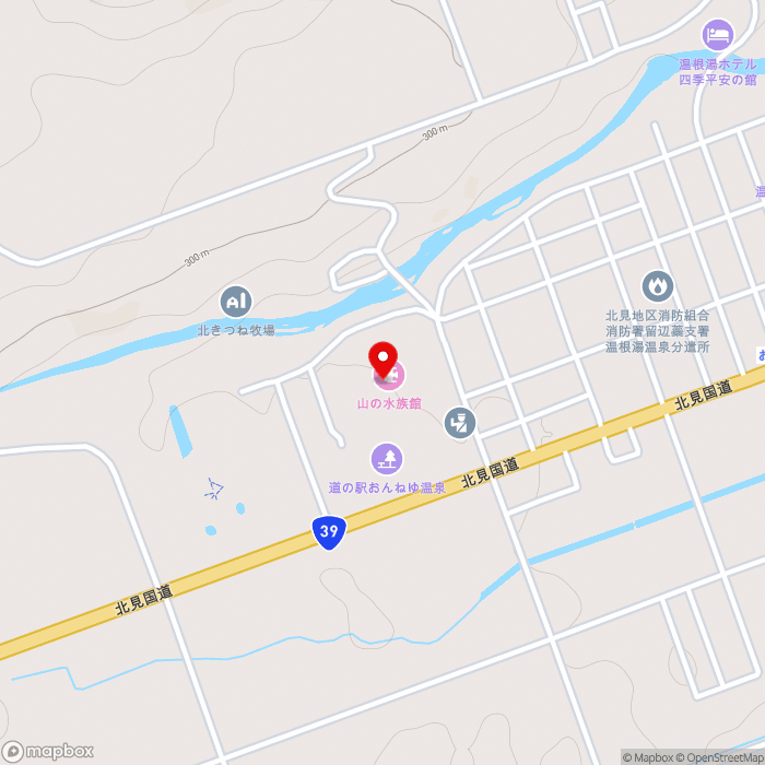 道の駅おんねゆ温泉の地図（zoom15）北海道北見市留辺蘂町松山1-4