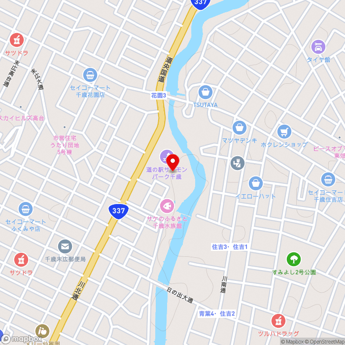道の駅サーモンパーク千歳の地図（zoom15）北海道千歳市花園2