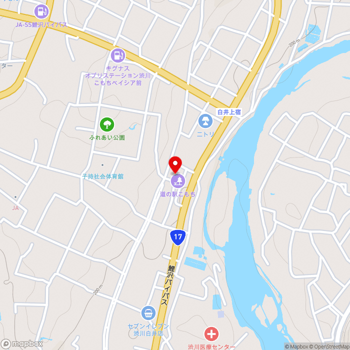道の駅こもちの地図（zoom15）群馬県渋川市白井2318-1