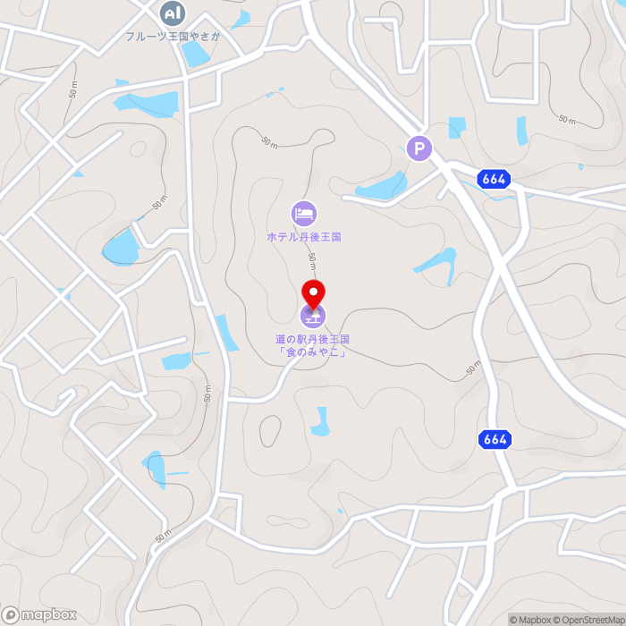 道の駅丹後王国「食のみやこ」の地図（zoom15）京都府京丹後市弥栄町鳥取１２３番地