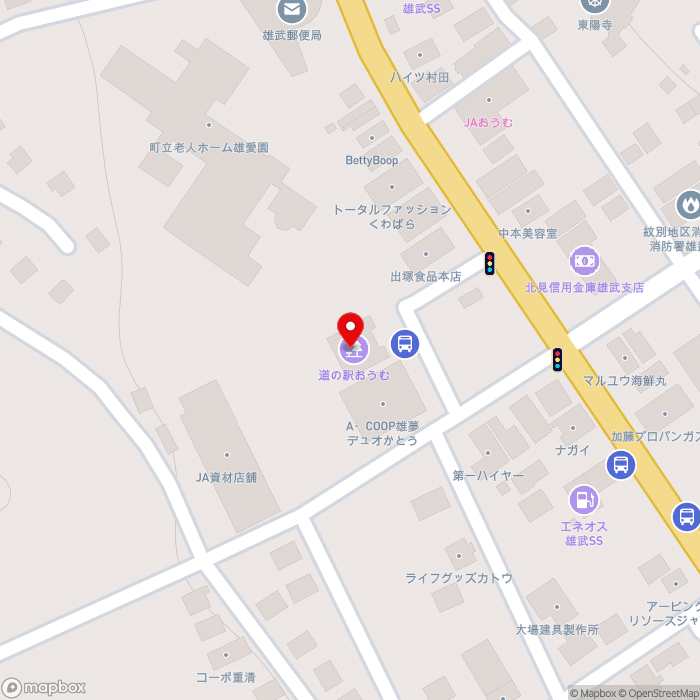道の駅おうむの地図（zoom17）北海道紋別郡雄武町字雄武1885-14