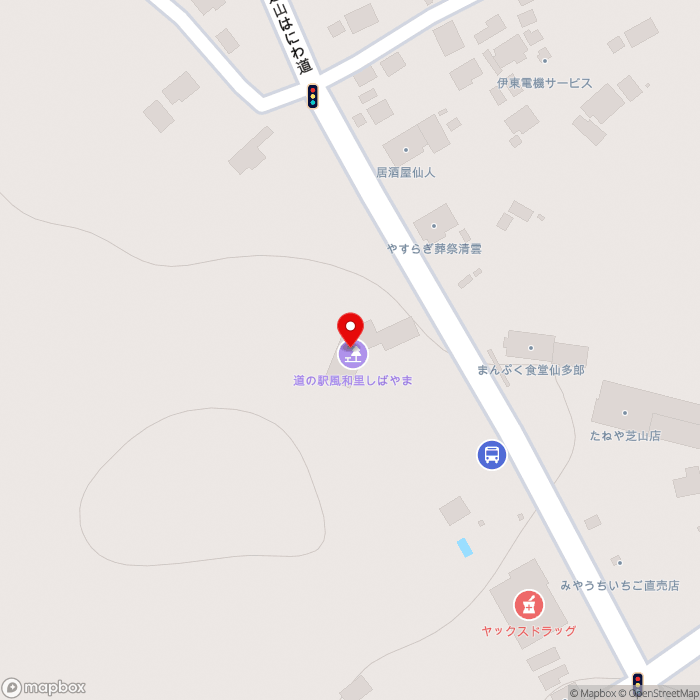 道の駅風和里しばやまの地図（zoom17）千葉県山武郡芝山町小池2568