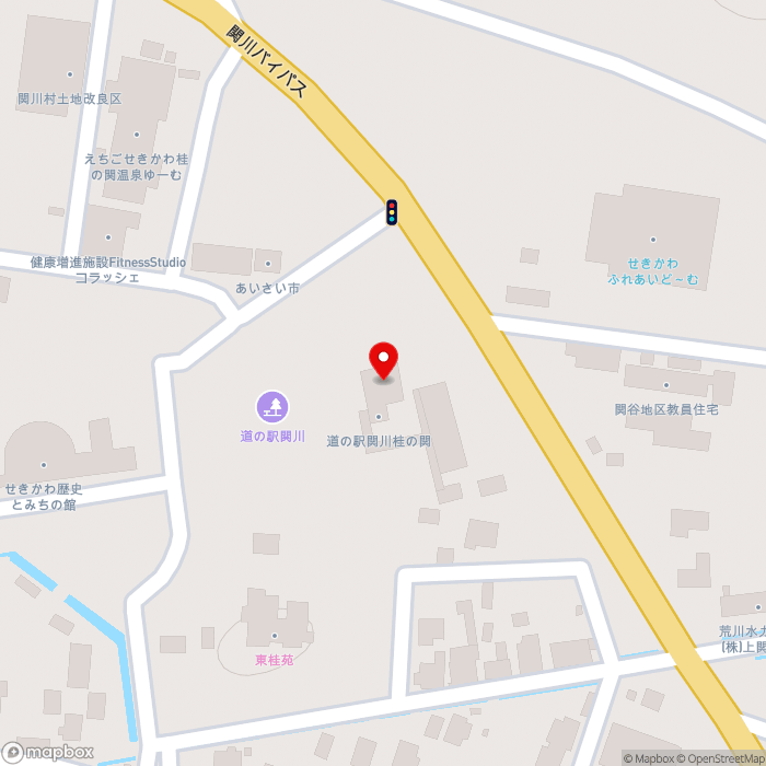 道の駅関川の地図（zoom17）新潟県岩船郡関川村上関