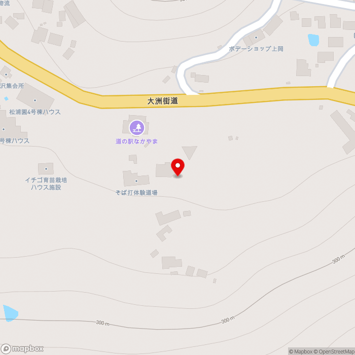 道の駅なかやまの地図（zoom17）愛媛県伊予市中山町中山子271番地
