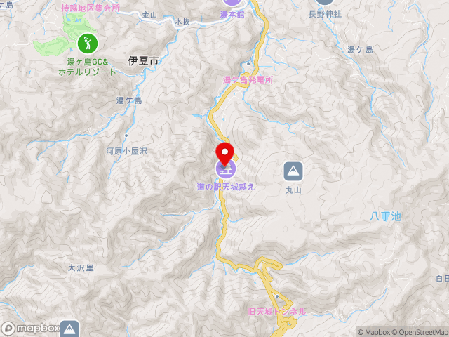 静岡県の道の駅天城越えの地図