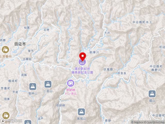 主要地方道田辺龍神線沿いの道の駅 紀州備長炭記念公園の地図