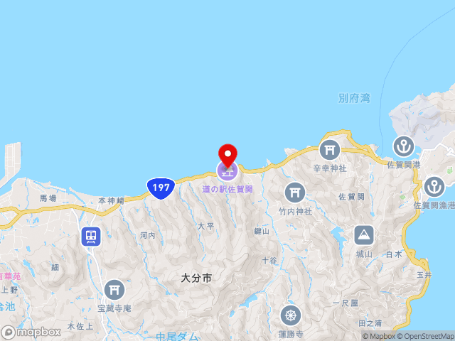 国道197号沿いの道の駅 佐賀関の地図