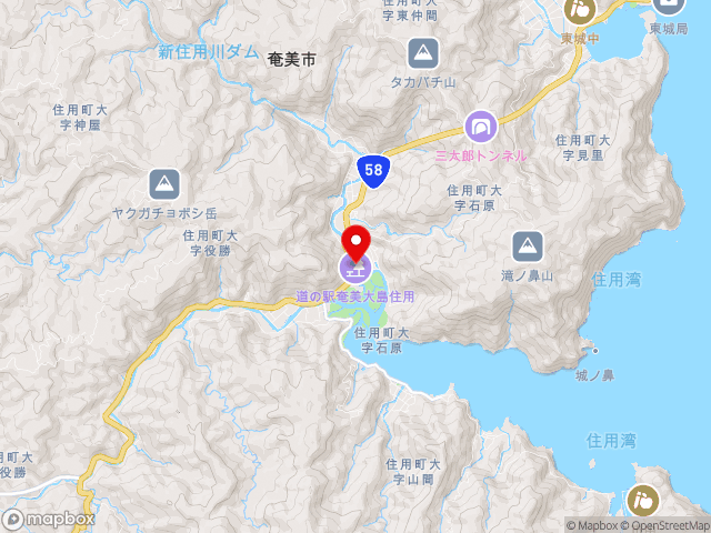 国道58号沿いの道の駅 奄美大島住用の地図