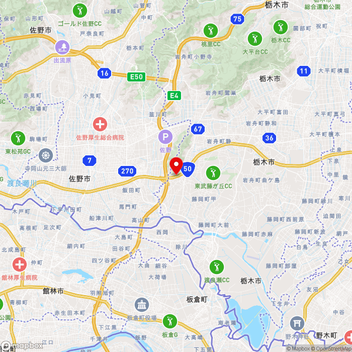 道の駅みかもの地図（zoom11）栃木県栃木市藤岡町大田和678