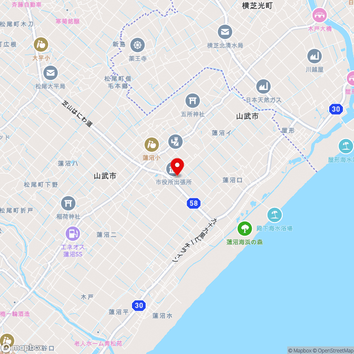 道の駅オライはすぬまの地図（zoom13）千葉県山武市蓮沼ハ4826