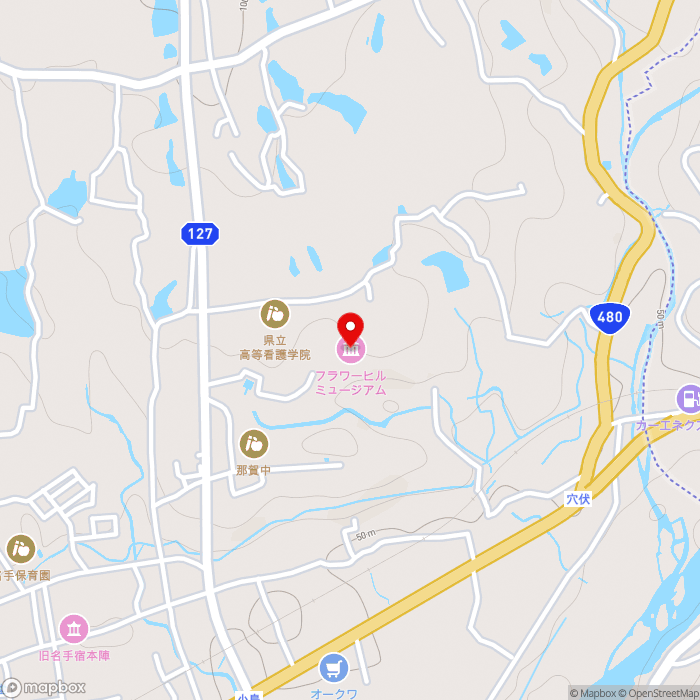 道の駅青洲の里の地図（zoom15）和歌山県紀の川市西野山473