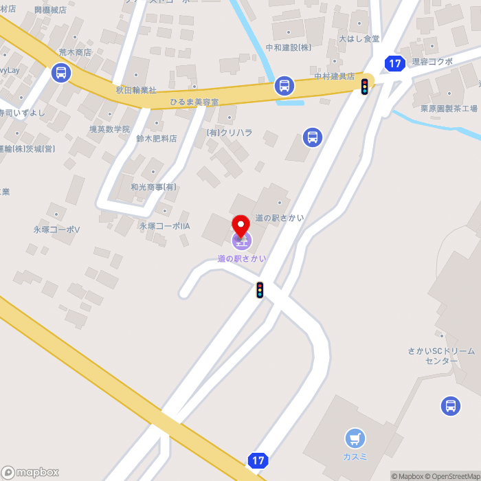 道の駅さかいの地図（zoom17）茨城県猿島郡境町1341-1