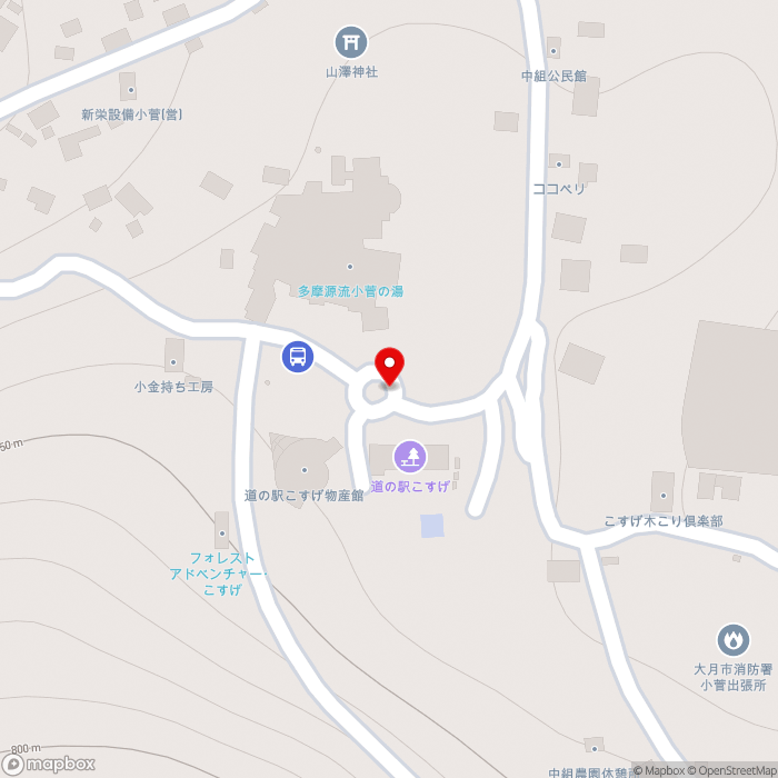 道の駅こすげの地図（zoom17）山梨県北都留郡小菅村3445
